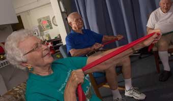 Occupational Therapy