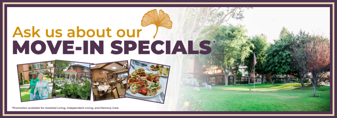 Website banner – specials (1)